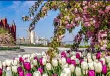 В Україну йде антициклон Reiner: яку погоду очікувати перед святами