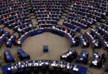 Європарламент погодив безмитну торгівлю з Україною з новими умовами, що мають захистити фермерів ЄС