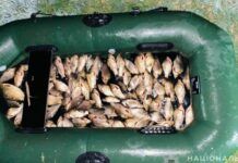 У Новомосковському районі поліцейські викрили двох рибалок-браконьєрів