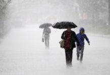 Рятувальники ліквідовують насліди негоди в Києві і трьох областях – ДСНС