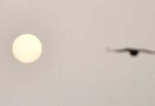 Укргідрометцентр радить зачиняти вікна через пил із Сахари