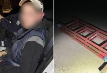 Поцупив металеву драбину з приватного подвір’я — патрульні Дніпра затримали 18-річного юнака