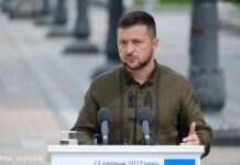 Зеленський про план Трампа щодо припинення війни: це дуже примітивна ідея