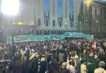 У Грузії почали розганяти протестувальників проти “російського закону” (відео)