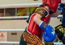 «Бджола» стала партнером обласних змагань з кікбоксингу