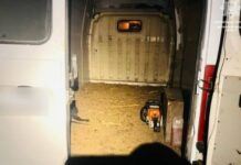 Водний патруль Дніпра виявив громадян, що незаконно випилювали зелені насадження