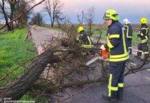 На Дніпропетровщині через негоду без електропостачання залишаються близько 15,5 тисяч абонентів