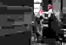 Соціальний захист. Українці все частіше їдуть до Німеччини з інших країн ЄС