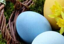 Як варити яйця до Великодня: 3 трюки, завдяки яким шкаралупа відставатиме сама собою