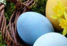 Великодні свята 2024: коли святити вербу, пекти паски та зустрічати Радоницю