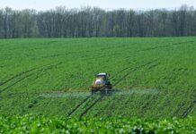 Росіяни підготували нову пастку для аграріїв на окупованих територіях, – ЦНС