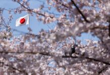 Японія надала Україні безповоротну допомогу на 120 млн доларів: на що підуть кошти