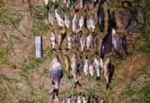 Поліцейські Дніпра задокументували факт незаконного вилову риби