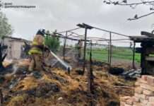 Вогонь міг перекинутися на житловий будинок: у Нікопольському районі зайнявся сінник