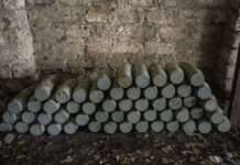 Словаки за шість днів зібрали понад 3 млн євро на боєприпаси для України