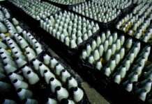 Греція готується до передачі Україні великої партії боєприпасів, – ЗМІ