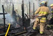 Вигоріли вщент: у Запоріжжі приборкали пожежу у господарчих спорудах