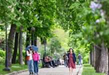 На Україну насуваються дощі: синоптики дали прогноз на завтра