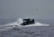 ЗСУ встановили контроль над островом Нестрига під Херсоном, – Сирський