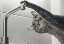 У Кривому Розі 9 квітня не буде води: адреси