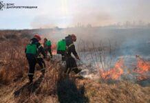 65 загорянь за добу: вогнеборці Дніпропетровщини приборкують пожежі в екосистемі