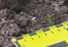 У Дніпрі патрульні виявили чергових закладників