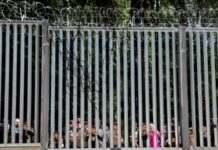 Нелегальний мігрант поранив польського військового на кордоні