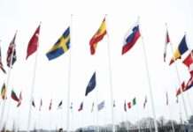 «Немає нічого, що їм не під силу»: голова Військового комітету НАТО про ЗСУ