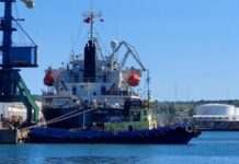 У морський порт Керчі заходило іноземне судно-газовоз – фото