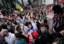 Неурядові організації Грузії планують оскаржувати закон про «іноагентів» у Конституційному суді