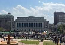 У США пропалестинські студенти захопили будівлю університету: були сутички з поліцією