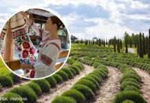 Парки та етнокомплекси. Де недорого відпочити поблизу Києва: яскраві ідеї