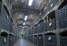 СБУ підозрює чиновника окупованої Ялти в незаконному продажі «Массандри»: йому загрожує до 15 років тюрми