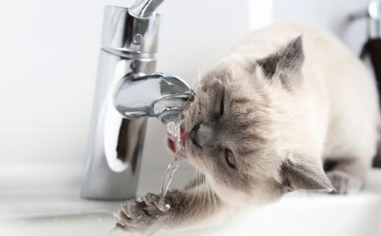 Жителям одного з районів Дніпра майже на дві доби відключать воду: деталі