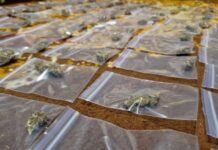 Збував наркотики на території міста: криворізькі поліцейські затримали зловмисника