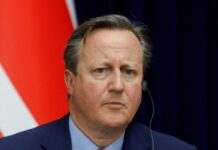 Reuters: Камерон вважає, що Україна може завдавати ударів по території Росії британською зброєю