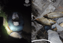 На Дніпропетровщині водний патруль виявив рибалок-браконьєрів