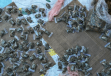 Правоохоронці Запоріжжя припинили діяльність групи наркоділків: деталі