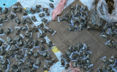 Правоохоронці Запоріжжя припинили діяльність групи наркоділків: деталі