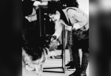 У лікарні померла зооволонтерка притулку для тварин «Друг» з Дніпра