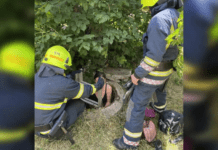 Надзвичайники Кривого Рогу врятували жінку, яка впала у комунікаційний колодязь