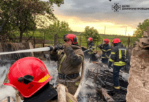 Площа займання 100 кв. м: у Криворізькому районі ліквідовано пожежу в господарчій споруді
