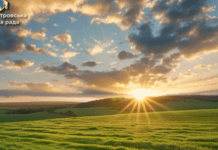 Без обстрілів: безпекова ситуація на Дніпропетровщині станом на ранок 23 травня