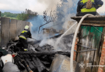 Синельниківський район: ліквідовано пожежу на території приватного домоволодіння