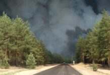 Від обстрілів на Донеччині загорілось близько 300 гектарів лісу – прокуратура