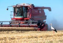 USAID анонсувало пакет допомоги аграрному сектору України на 60 мільйонів доларів