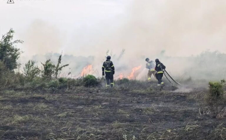 7 пожеж в екосистемах за добу: рятувальники продовжують ліквідувати загоряння