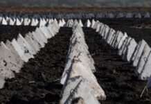 На Харківщині тривають бої проти спроб російських військ наступати – Генштаб