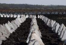 У Харківській ОВА обіцяють публічний звіт щодо будівництва фортифікацій в області