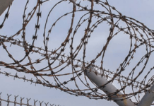 В Україні звільнили понад пів сотні засуджених, які захотіли мобілізуватися